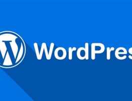 طراحی سایت با وردپرس در اردبیل